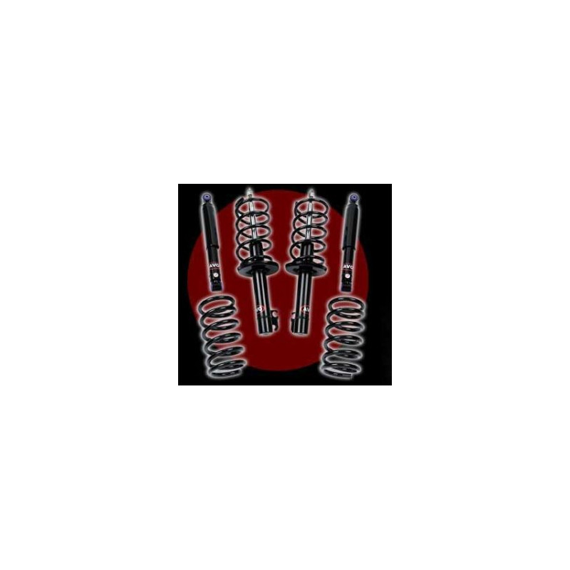 AMORTISSEURS AVANTS REGLABLES MITS V73-97
