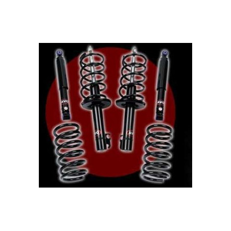AMORTISSEURS AVANTS REGLABLES MITS V73-97